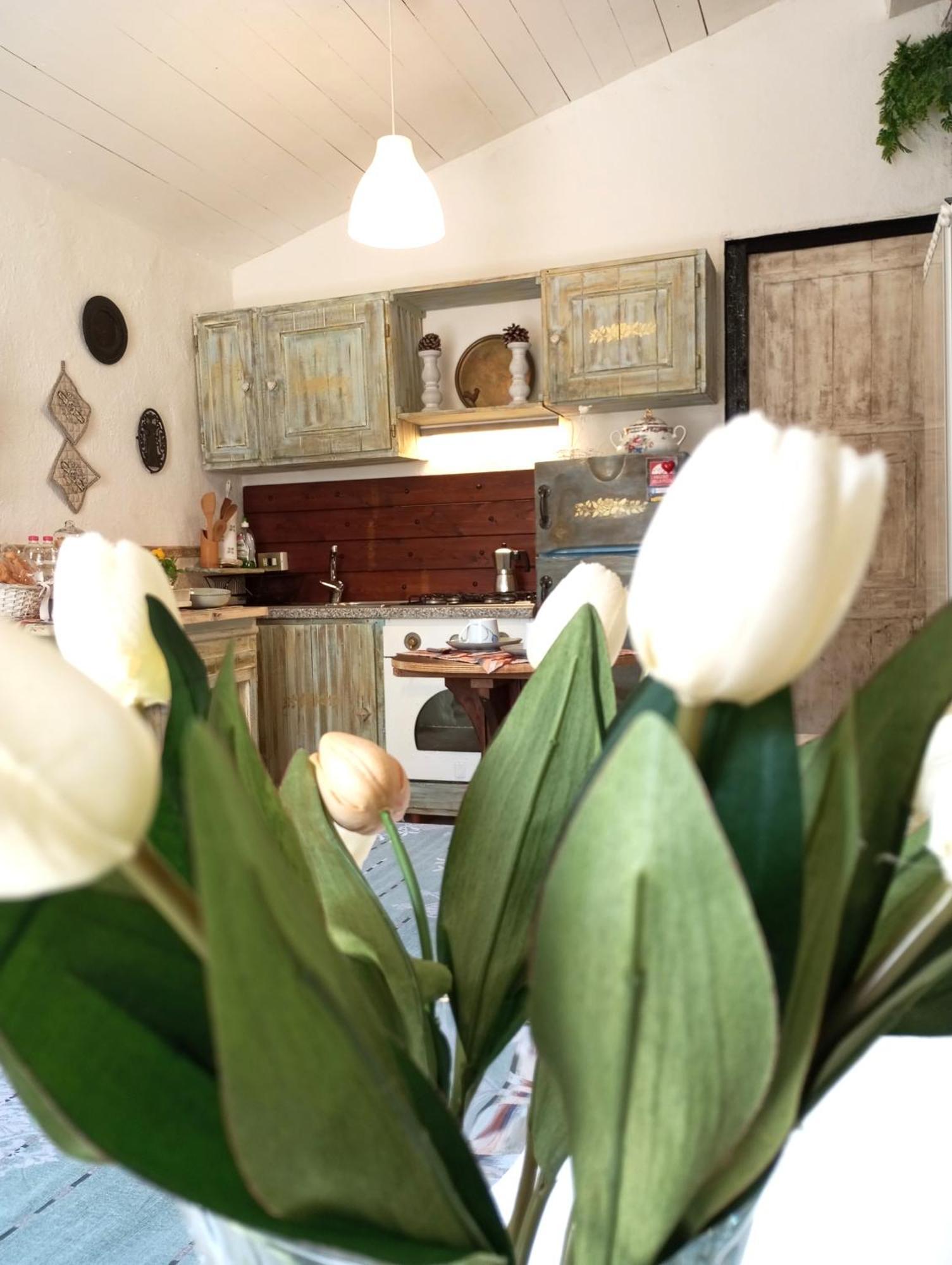 The Cottage San Maurizio D'opaglio Ngoại thất bức ảnh